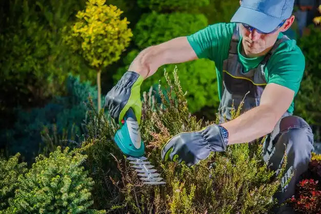 landscaping services Bland